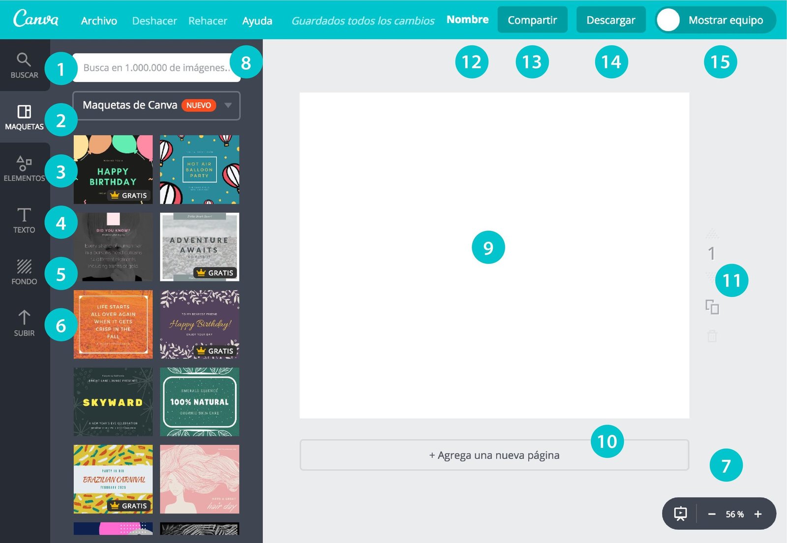 Canva Designing